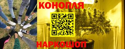 гашишное масло Берёзовский