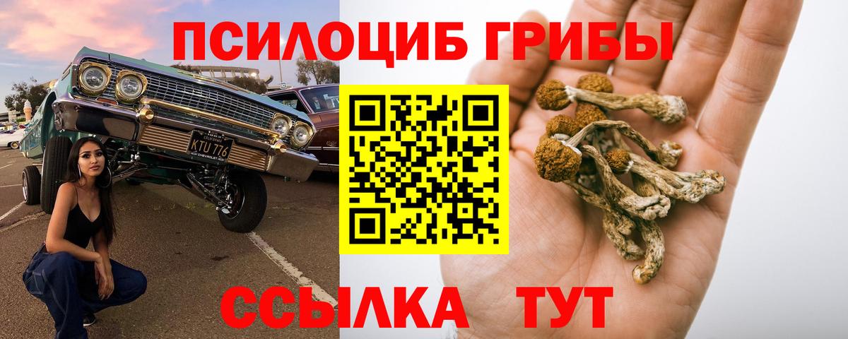 Кашира  Псилоцибиновые грибы мухоморы  дарнет шоп  Вход с VPN 